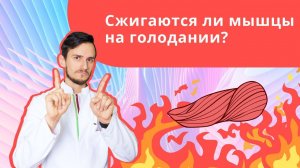 Сжигаются ли мышцы на голодании?