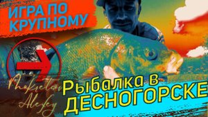 Рыбалка в Десногорске. Игра по крупному .