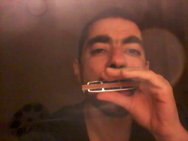 Пофириф/whatever riff #harmonica #stratocastro #harp #губнаягармошка