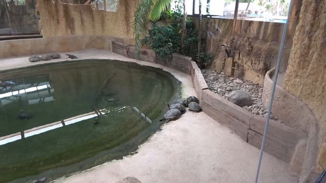 Tuttavallisemmin Torremolinos - Ja maailman tulisin salmari! смотреть онлайн