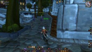 Stormwind Seasoning Herbs (Quest item), WoW Classic