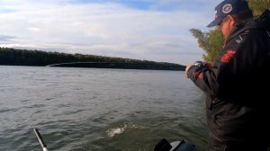 Ловля щуки осенью 2024.