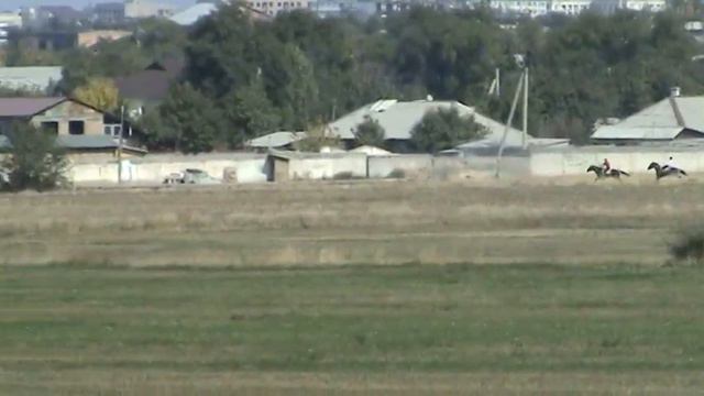 Жорго салыш 2015 Жумамудун Шералиевдин тойу, смотреть онлайн