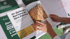 На День поля в Уссурийск приехали компании «Синергия» и «Спорос»