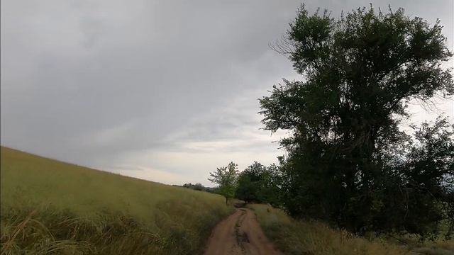 Привольное