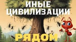 Иные цивилизации -  рядом. Почему муравьи не боятся смерти? Инопланетяне - 4 с Леной Лавру.