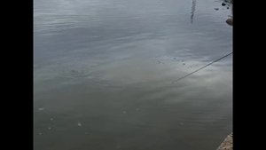 рыбалка на Томи