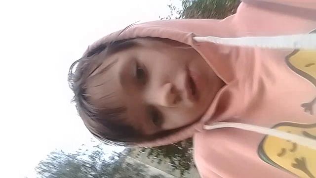 описание