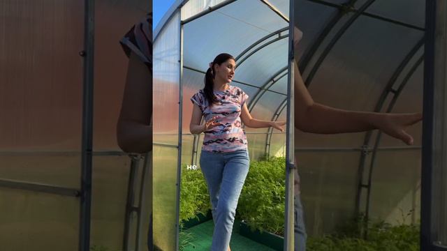 Как избавиться от белокрылки