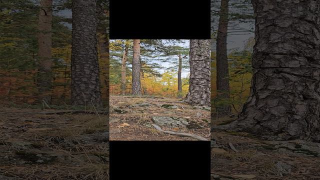 Карелия. Лахденпохья. Karelia. Lakhdenpokhya