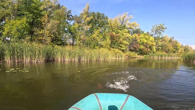 рыбалка на поплавок!ловля раков! смотреть онлайн