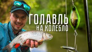 ГОЛАВЛЬ НА БЛЕСНЫ! Майский толстяк НА КОЛЕБАЛКИ. Рыбалка на малой реке с TENRYU RAYZ 632S-L.