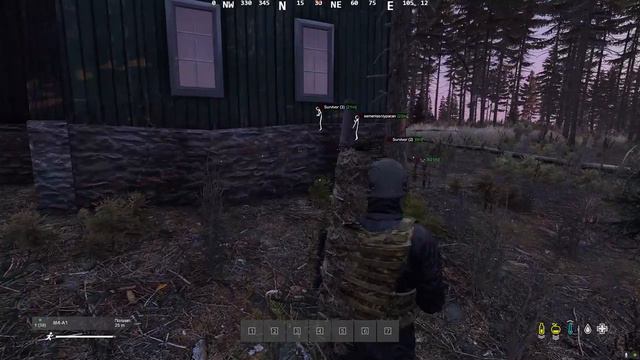 Парадокс, читер который ценит игру Dayz