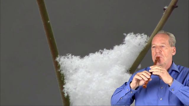 Blockflötenmusik ADAGIO von J Chr Pepusch смотреть онлайн