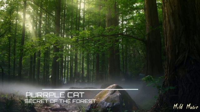 ▪️[No Copyright Music] LO-FI MUSIC| ЛОФИ МУЗЫКА|Purrple Cat-Secret Of The Forest|#48▪️