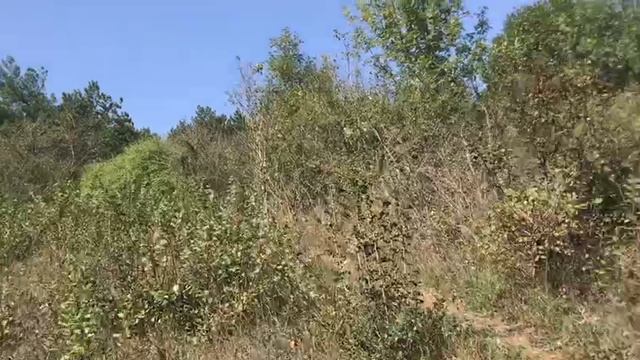 Секретный)) видео обзор земельного участка в Лозовом 1. До Симферополя 2 минуты!Есть уклон