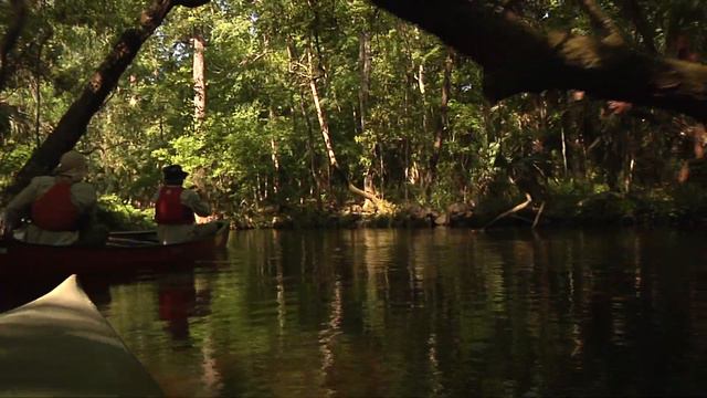 Slave Canal Kayak and Canoe Adventure: EcoAdventures North Florida смотреть онлайн