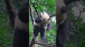 Насладись красотой природы