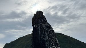 Мамкин Выживальщик на Камчатке