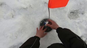 Сезон 2024. Тестирование новых покупок. Рыбалка на щуку