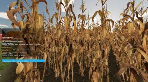 Как играть  по сети в игре фс 22 ( без голоса)