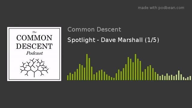 Spotlight - Dave Marshall смотреть онлайн
