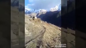 Возрождаемый ТАДИЯЛ