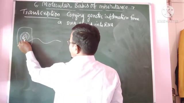 molecular basis of inheritance (part 7)