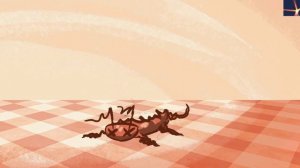 Аэрогель: выйти сухим из воды