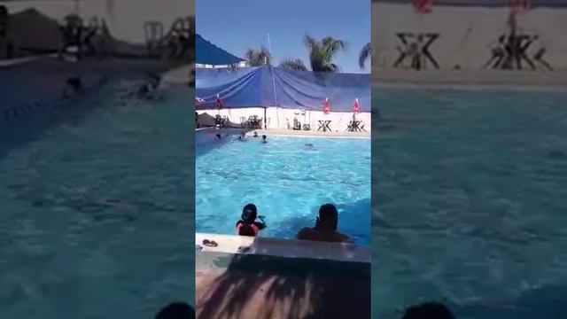 محمد البشير(4)