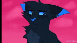 Ветерок, Сумеречница и Грач из Котов воителей