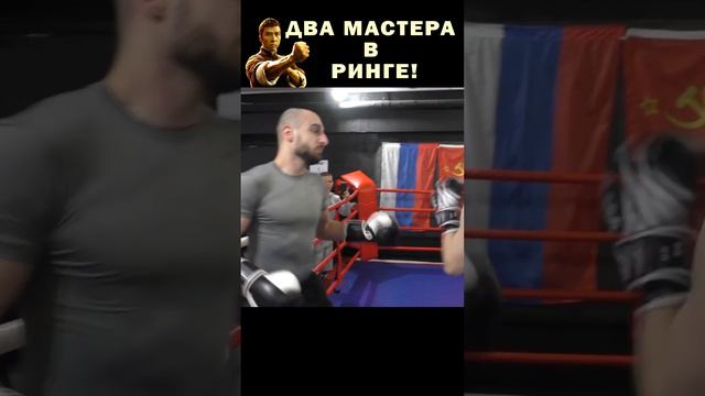 Два титана выяснят кто сильнее этом бою! Боксеры на строены на нокаут, но смогут ли они попасть?