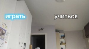 просто смешные видео посмотрите