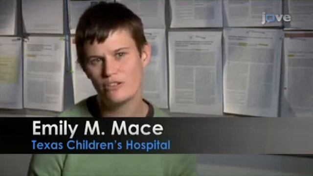 STED Nanoscopy for Visualizing Immunological Synapse смотреть онлайн