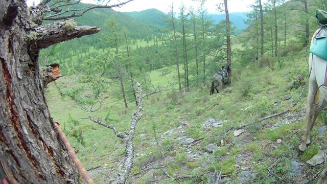 Алтай на конях 2022 - 8 смотреть онлайн