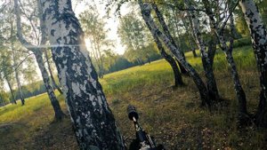 Охота на самца сибирской косули. Скоро на канале 😉