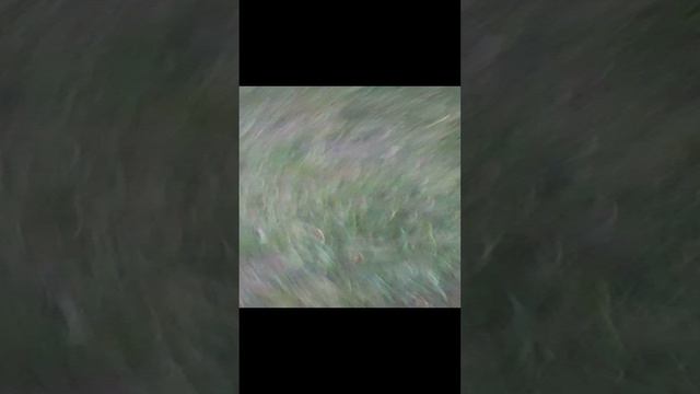 мы у Вики 2 смотреть онлайн