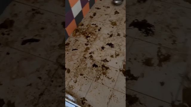 🐶Активисты сообщают, что в зоогостинице на Осташковской улице произошла беда с щенками🐶