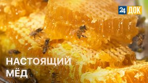 Какой мёд считается самым полезным? ЗЕМЛЕХОД