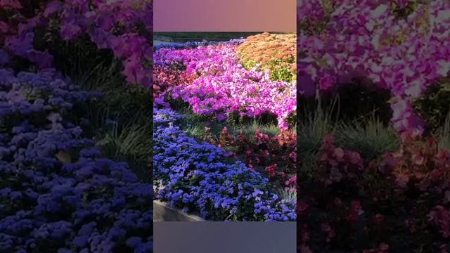 1000005891.mp4