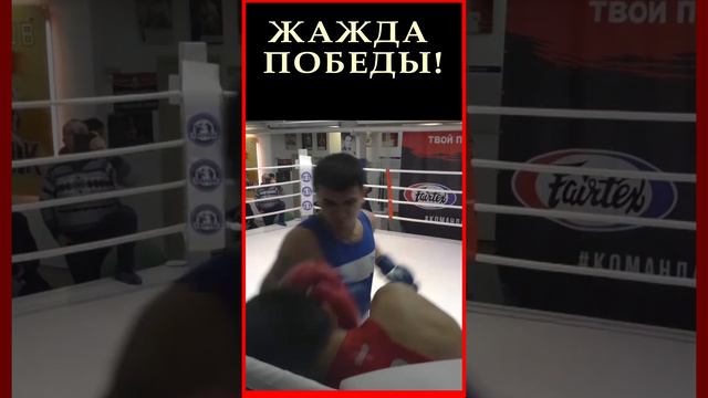 Разве можно так бить человека? Боксер вкладывается в каждый удар, в погоне за победой!