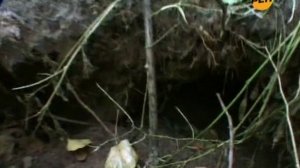 14-Parallel'nye_miry-Ostanovit'_vremja-14.04.2011