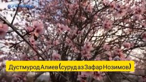 Дустмурод Алиев - Эй рафта зи дил, рафта зи бар, рафта зи хотир