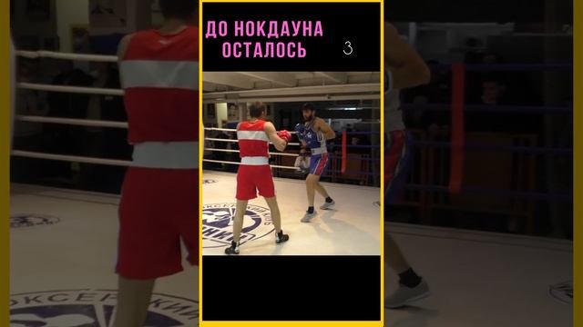 Боксер подловил оппонента на левый боковой!Реакция Админа , когда снял нокаут или нокдаун.