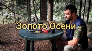Золото Осени