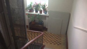 Электрический лифт V=1 м-с, грузоподъемность 400 кг (2953), музыкальный лифт Ecomaks