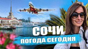 Погода в Сочи в Сентябре. Сочи онлайн. Пляжи Мамайка.