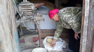 Огородные заботы и не только.Жизнь в деревне.