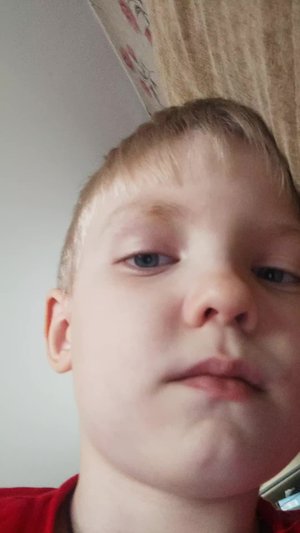 стрим по туалет товер дефенс