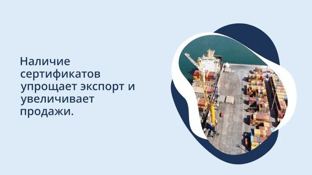 Как влияет сертификация на конкурентоспособность продукции — sertex.org